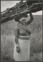 The Great Tribes of Africa