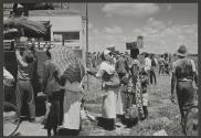 The Great Tribes of Africa