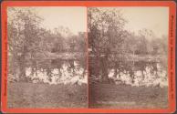Mill River by the Arches