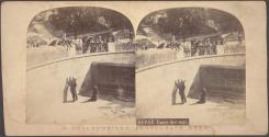 Berne, Fosse des ours