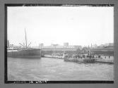 Egypte (Crossed out:Province)) Alexandrie/docks et quais