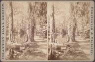 [Boat and path, Magnolia-On-The-Ashley]