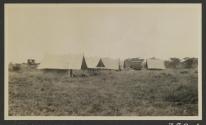 Tents at campsite, African Safari