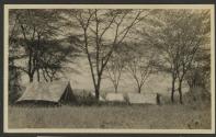 Bailey Camp- Kedong Valley, African Safari