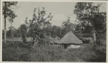 Native Huts, Lake Paradise, African Safari