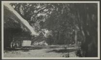 Eastman Lodge, Lake Paradise, African Safari