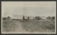 Tents at Campsite, African Safari