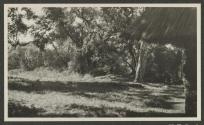 In front of Eastman Lodge, Lake Paradise, African Safari