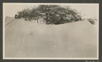 Shows bent ridgepoles (Edginton made), African Safari