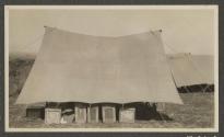 Shows bent ridgepoles (Edginton made), African Safari