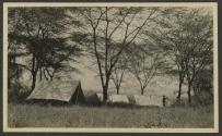 Bailey Camp - Kedong Valley, African Safari