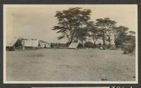 Camp at Narok along Guaso Nyiro, African Safari