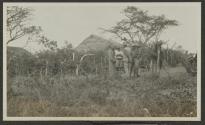 Conference at John Cook's Camp, African Safari