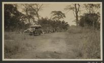 Lunch at roadside on way to Lake Paradise, African Safari