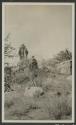 Looking for game - Gurumetti Plains, African Safari