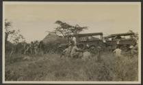 Looking for game - Gurumetti Plains, African Safari