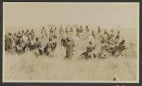 Lion spearing - Serongetti Plains, African Safari