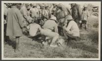 George Eastman's second lion - shot after leaving Kline's camp, African Safari