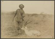 Dan Pomeroy's Grant Gazelle, African Safari