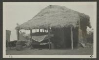 John Cook's Camp, African Safari
