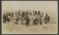 Lion spearing - Serongetti Plains, African Safari