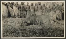Lumbwa with speared buffalo - Gurumetti Plains, African Safari