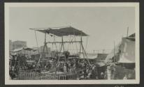 Arab circus - Port Said, African Safari