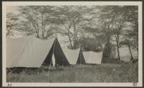Part of Bailey Camp Kedong Valley, African Safari