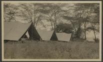 Bailey Camp - Kedong Valley, African Safari