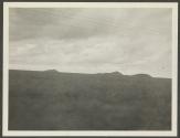 Landscape, African Safari