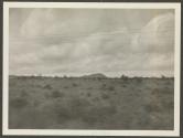 Landscape, African Safari