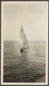 Native dhow we supplied with water in Gulf of Aden, African Safari