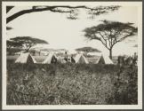 Native tents - Seronea, African Safari