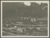 Sawmill - Meru, African Safari
