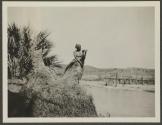 A study in black - Archer's Post, African Safari