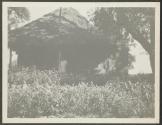 Johnson house - Lake Paradise- Osa Johnson near flag pole, African Safari