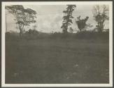 Landscape, African Safari