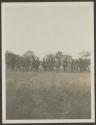 Powwow Lumbwa spearsmen, African Safari