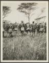 Dance of Lumbwa around speared buffalo, African Safari