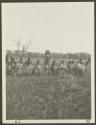 Lumbwa incantations, Lumbwa - Gurumetti, African Safari