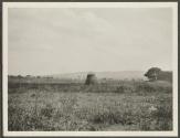 Landscape, African Safari