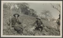 Osa Johnson's impalla - Gurumetti, African Safari