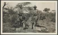 Dan Pomeroy's Impalla, African Safari