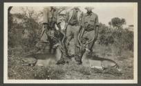 Dan Pomeroy's Impalla, African Safari