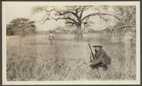 Dan Pomeroy's second lion - shot near Simpson's Camp, African Safari