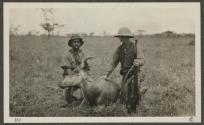 Coke's hartebeest - (kongoni) Dan Pomeroy's, African Safari
