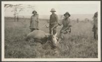 Dan Pomeroy with eland - shot in Kedong Valley, African Safari