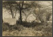 Native's tents Bailey Camp Kedong Valley, African Safari