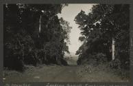 Looking towards Embayo - 10 miles out on the Duka road from Meru, African Safari