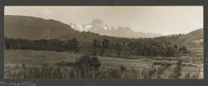 Landscape, African Safari